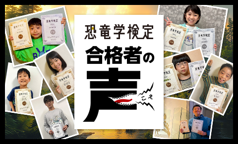 恐竜学検定合格者の声