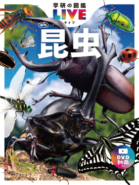＜公認参考書＞ 学研の図鑑LIVE 昆虫 新版