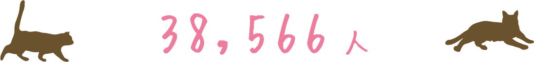 38,566人