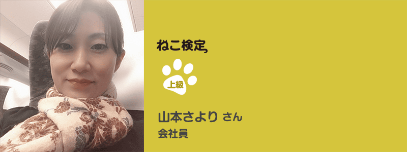 上級 山本さよりさん 会社員