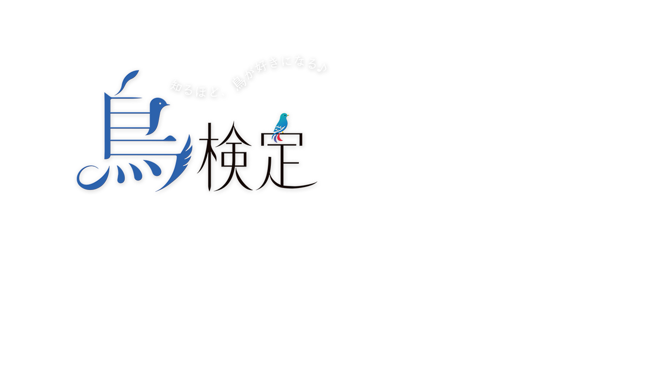 鳥検定