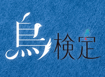 鳥検定