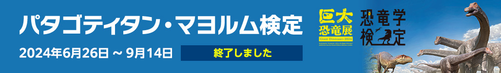 【無料】パタゴティタン・マヨルム検定 2024年6月26日～9月14日