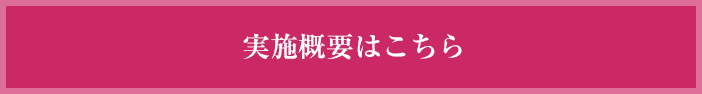 実施概要はこちら