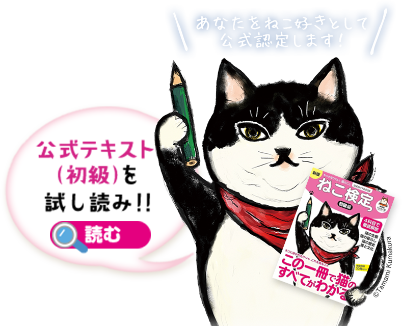 公式テキスト(初級)を試し読み！