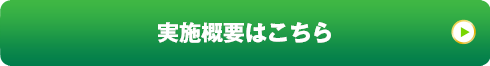 実施概要はこちら