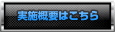 実施概要はこちら